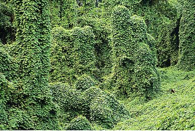 《恐鬼症》主机版宣布跳票 2023年10月发售