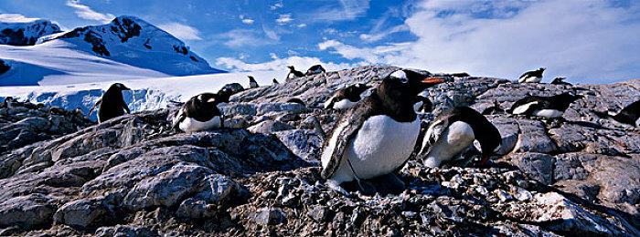 《命运2》发布会8月24日举办 或将公布新资料片